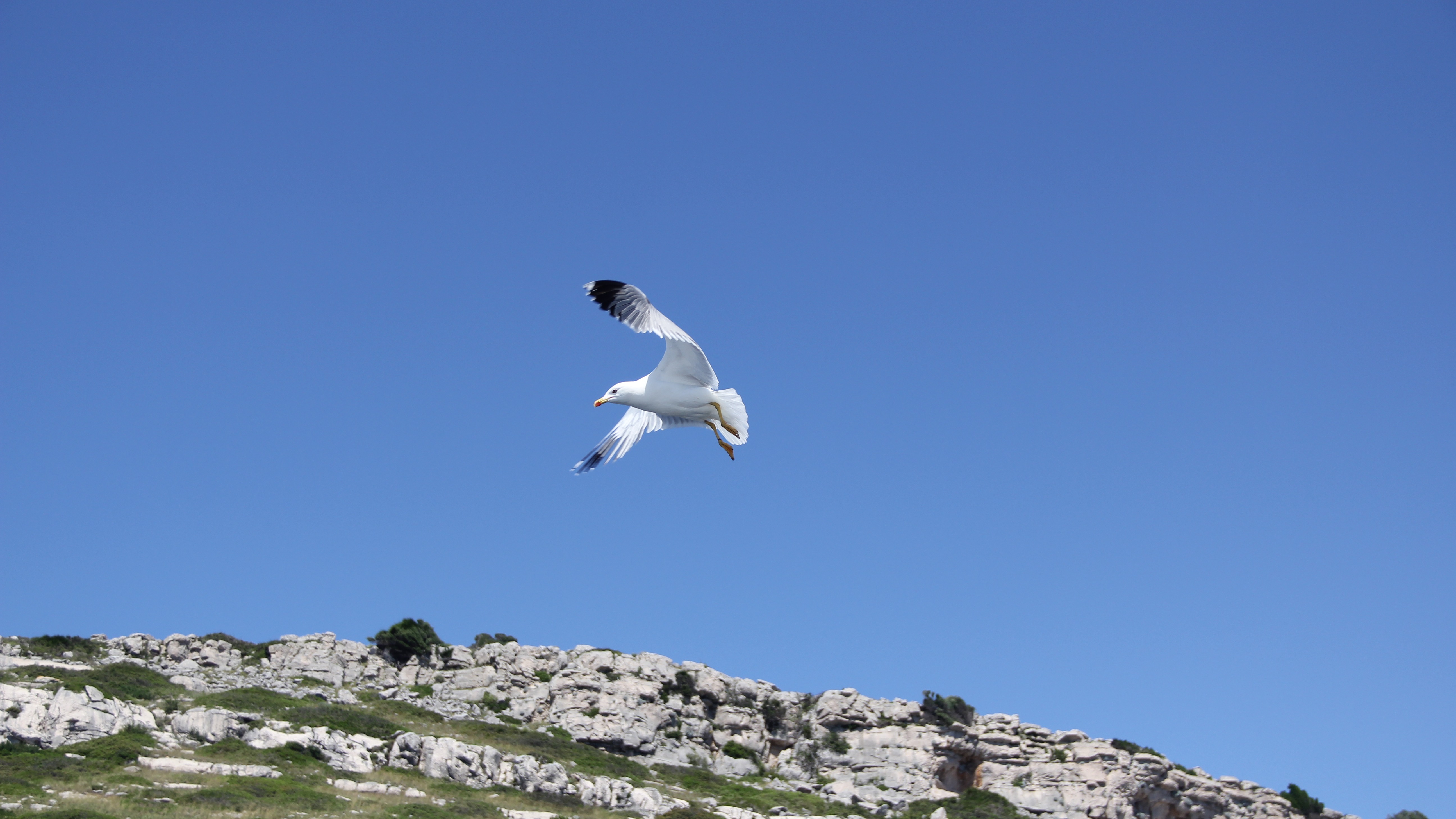 One-day boat excursion to Telašćica Nature Park (salt lake) and Levrnaka island (NP Kornati)