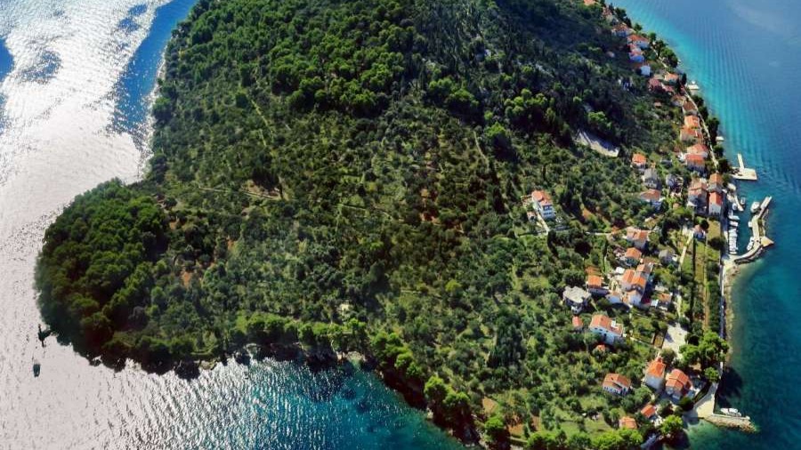 Speedboat tour- wycieczka łodzią motorową na wyspę Ugljan i Ošljak