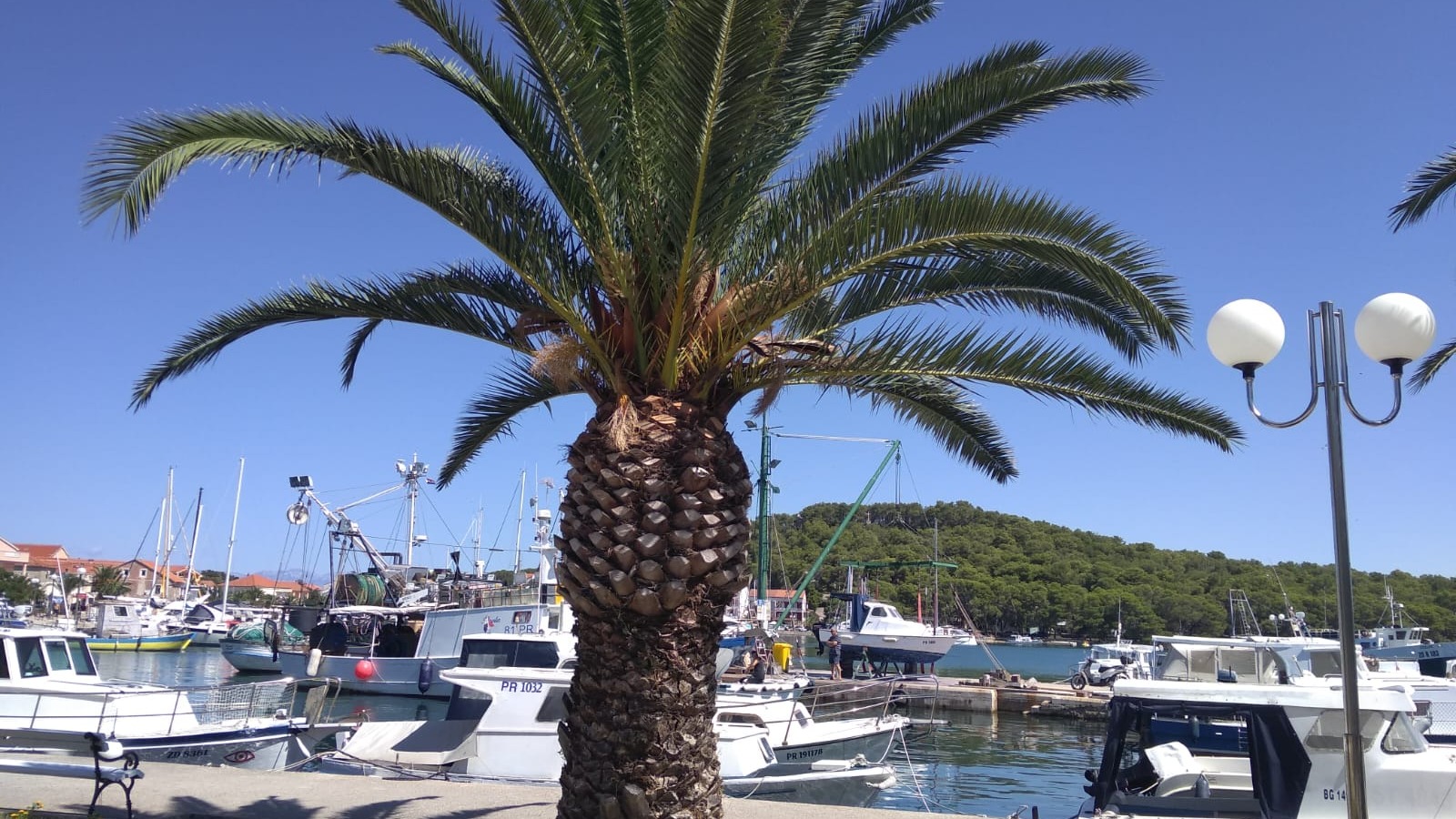 Afternoon Sailboat Tour Panorama- Ugljan Island 4 hour excursion