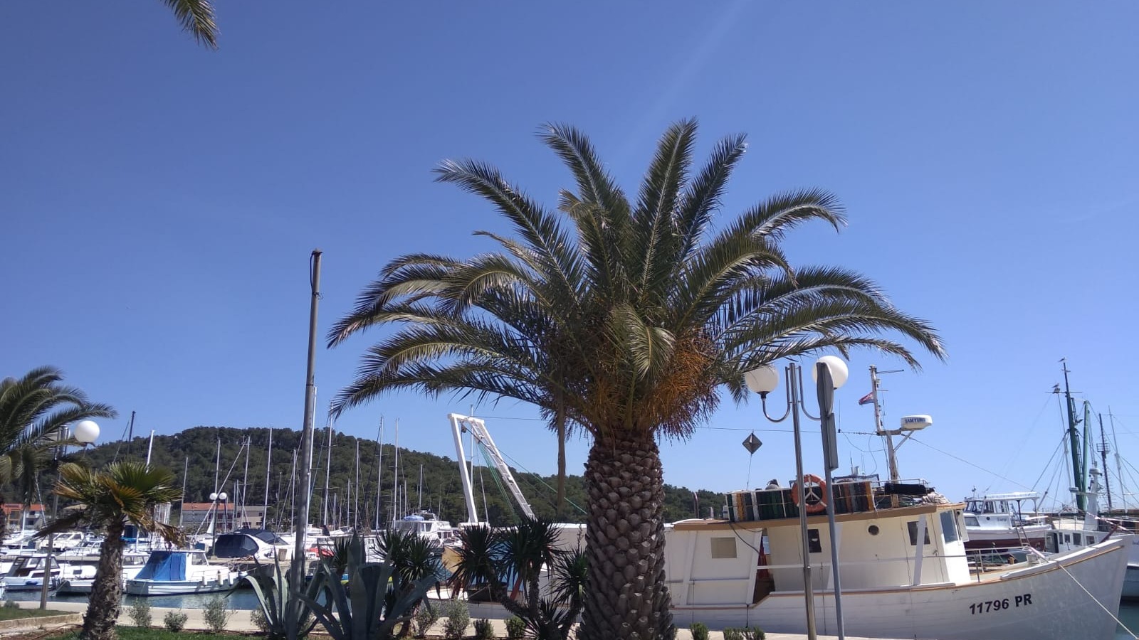 Afternoon Sailboat Tour Panorama- Ugljan Island 4 hour excursion